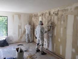 Mold Remediation for Vacation Homes in Waterloo, WI